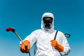 Best Bed Bug Extermination  in Fruitland, NC